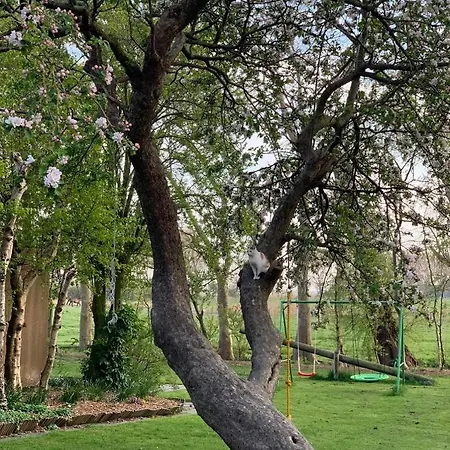 Buschhof Albers Lejlighed