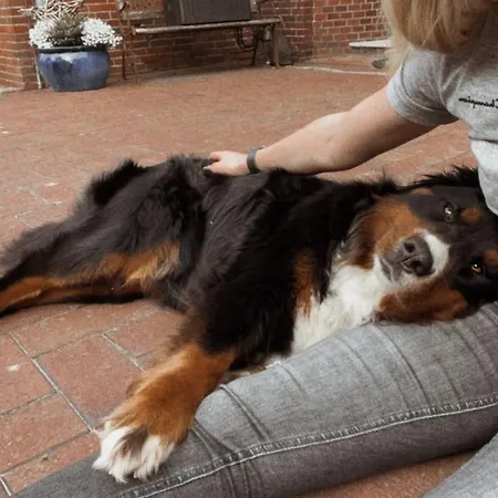 Buschhof Albers Lejlighed