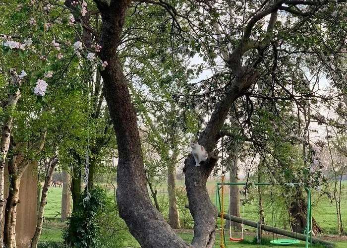 Buschhof Albers Апартаменты