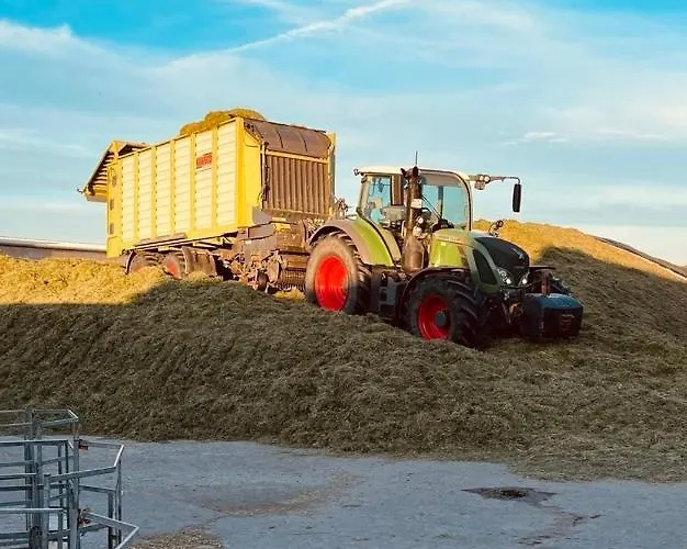 Buschhof Albers Апартаменты *