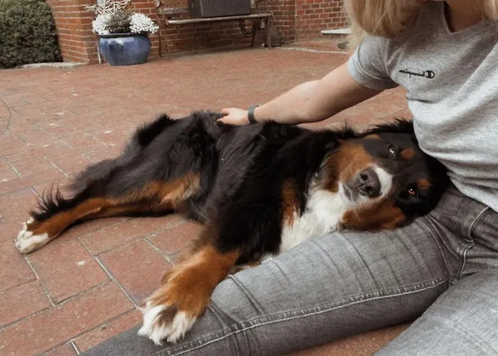 Buschhof Albers Апартаменты